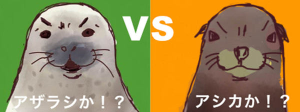 アザラシ と アシカ の違い