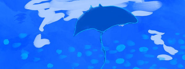 まったり癒しの世界！水族館の魅力